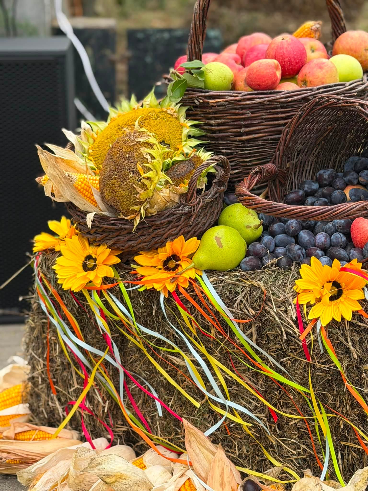 Żyjmy w zgodzie z naturą – Chmielinko